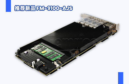 飞迈瑞克推出新品DPU智能网卡FM-9100-AJS